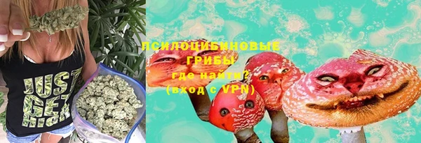 дурь Алексеевка